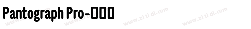 Pantograph Pro字体转换
